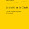 Le Soleil Et La Chair. Lecture De Quelques Poésies De Rimbaud 1 Le Soleil Et La Chair. Lecture De Quelques Poésies De Rimbaud -Librairies Boutique AfoMS01