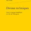 Divines Techniques. Arts Et Langage Homérique à La Fin De L’Antiquité 2 Divines Techniques. Arts Et Langage Homérique à La Fin De L’Antiquité -Librairies Boutique AvuMS01b